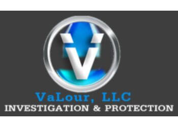 Valour Investigations and Protection LLC