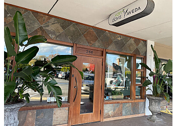 VanDavis Salon + Spa Winston Salem Beauty Salons