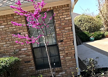 Irving Landscaping Companies Van Vickle Brothers Landscaping