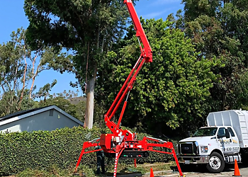Anaheim Tree Services Vargas Tree Service Inc.