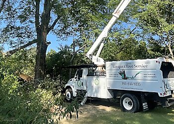 Memphis Tree Services Vasquez Tree Service and Stump Grinder