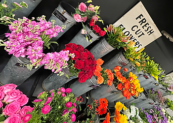 Lakewood Florists Veldkamp's Flowers and Gifts, Inc.