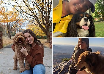 Winston Salem Dog Walkers Venture Dog Walking