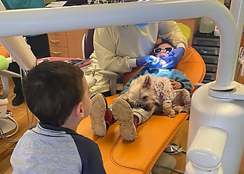 Worcester Kids Dentists Vera, DMD - WORCESTER KIDS' DENTIST