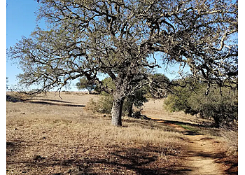 Temecula Hiking Trails Vernal Pool Trailhead