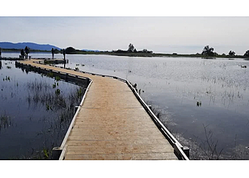 Temecula Hiking Trails Vernal Pool Trailhead