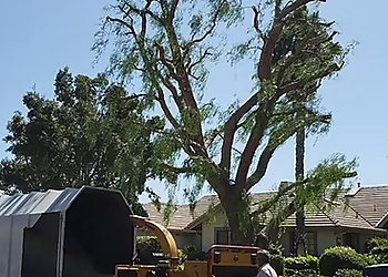 Simi Valley Tree Services Vero's Tree Service