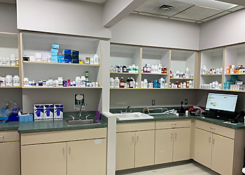 Hartford Veterinary Clinics Vet For Pet Animal Hospital