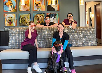 Phoenix Veterinary Clinics VetMED Emergency & Specialty Veterinary Hospital