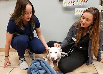 Phoenix Veterinary Clinics VetMED Emergency & Specialty Veterinary Hospital