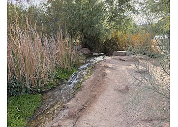 Chandler Hiking Trails Veterans Oasis Park