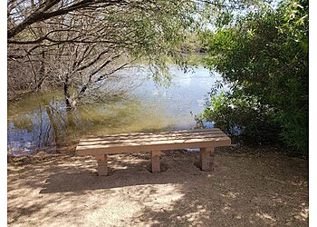 Chandler Hiking Trails Veterans Oasis Park
