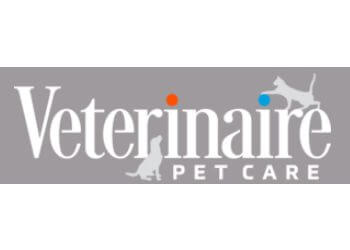 3 Best Veterinary Clinics in Jersey City, NJ - Expert Recommendations