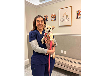 Veterinarian Pet Alliance - Newark, NJ Veterinary Clinics - Doctor With Patient Image