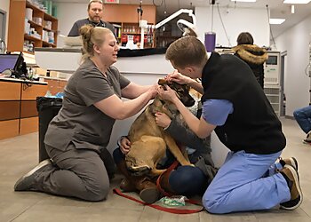 Boston Veterinary Clinics Veterinary Emergency Group