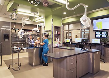 Honolulu Veterinary Clinics Veterinary Emergency + Referral Center