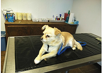 Pueblo Veterinary Clinics Veterinary Hospital Associates