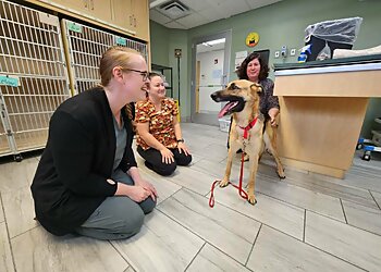 Syracuse Veterinary Clinics Veterinary Medical Center of Central New York