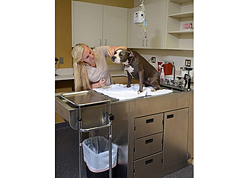 Port St Lucie Veterinary Clinics Veterinary Medical Center of St. Lucie County