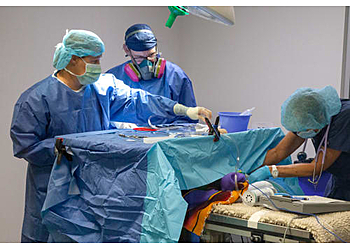 Ventura Veterinary Clinics Veterinary Medical and Surgical Group