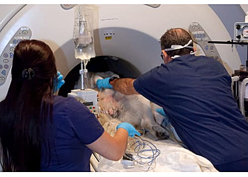 Ventura Veterinary Clinics Veterinary Medical and Surgical Group