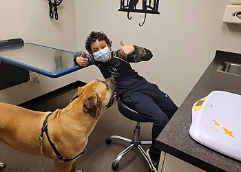 New Haven Veterinary Clinics Veterinary Wellness Center of New Haven