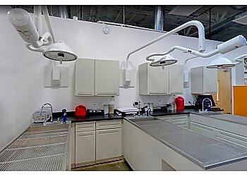 Carrollton Veterinary Clinics Vetsavers Pet Hospital