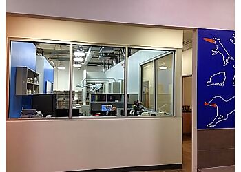 Carrollton Veterinary Clinics Vetsavers Pet Hospital