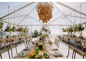 Santa Rosa Wedding Planners Vibrant Events