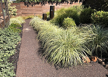 Santa Rosa Landscaping Companies Vicelandscape Management