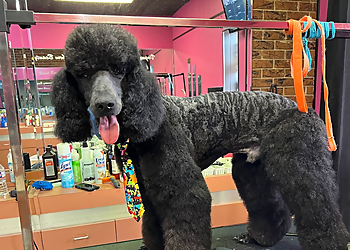 Victor's Pet Grooming Victor's Pet Grooming - Garland, TX Pet Grooming - Service Image