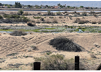 Victorville Hiking Trails Victorville Mojave Riverwalk