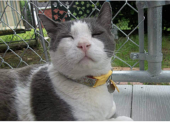 Evansville Veterinary Clinics Village East Animal Hospital