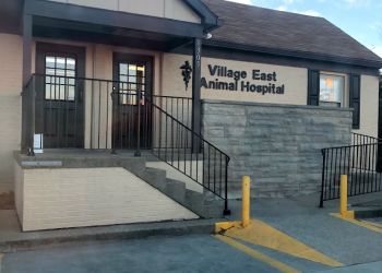 Village East Animal Hospital Evansville Veterinary Clinics