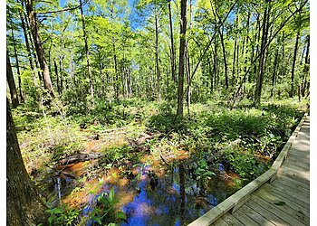 Mobile Hiking Trails Village Point Park Preserve
