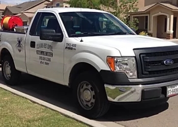 3 Best Pest Control Companies in El Paso, TX - Expert ...