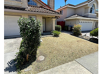 Fremont Lawn Care Services Vintage Lawn Service