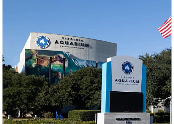 Virginia Aquarium & Marine Science Center Virginia Beach Places To See