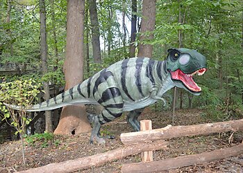 Newport News Places To See Virginia Living Museum