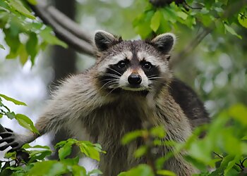 Newport News Places To See Virginia Living Museum