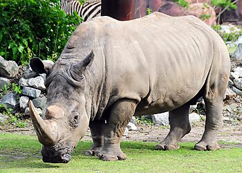 Norfolk Places To See Virginia Zoo