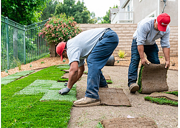 Simi Valley Lawn Care Services Vision Landscaping