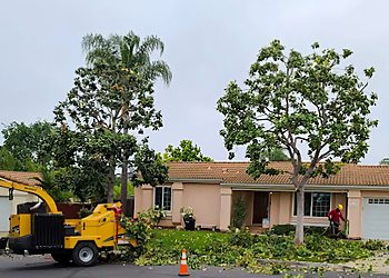 Oceanside Tree Services Vista Del Rey Tree Service