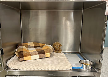 Vista Veterinary Specialists - Sacramento, CA Veterinary Clinics - Medical Procedure Image