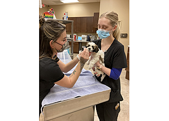 Peoria Veterinary Clinics Vistancia Animal Hospital