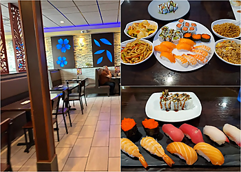 Norfolk Sushi Volcano Sushi & Asian Bistro