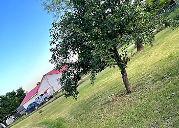Wichita Falls Tree Services Voltage Tree & Lawn
