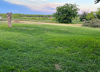 Voltage Tree & Lawn Wichita Falls Tree Services image 1