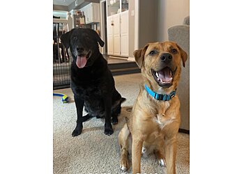 Lincoln Veterinary Clinics Vondra Veterinary Clinic