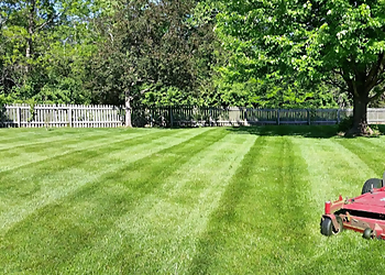 Voss Landscape & Tree Service Columbia Landscaping Companies image 1